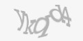 Қорғаныс коды